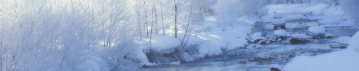 雪に包まれる川辺